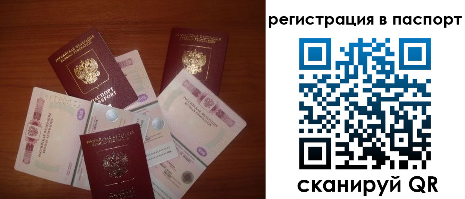 временная регистрация поиск в Змеиногорске